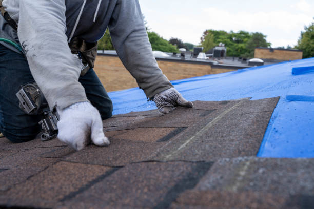 Best Rubber Roofing (EPDM, TPO)  in Middletown, VA
